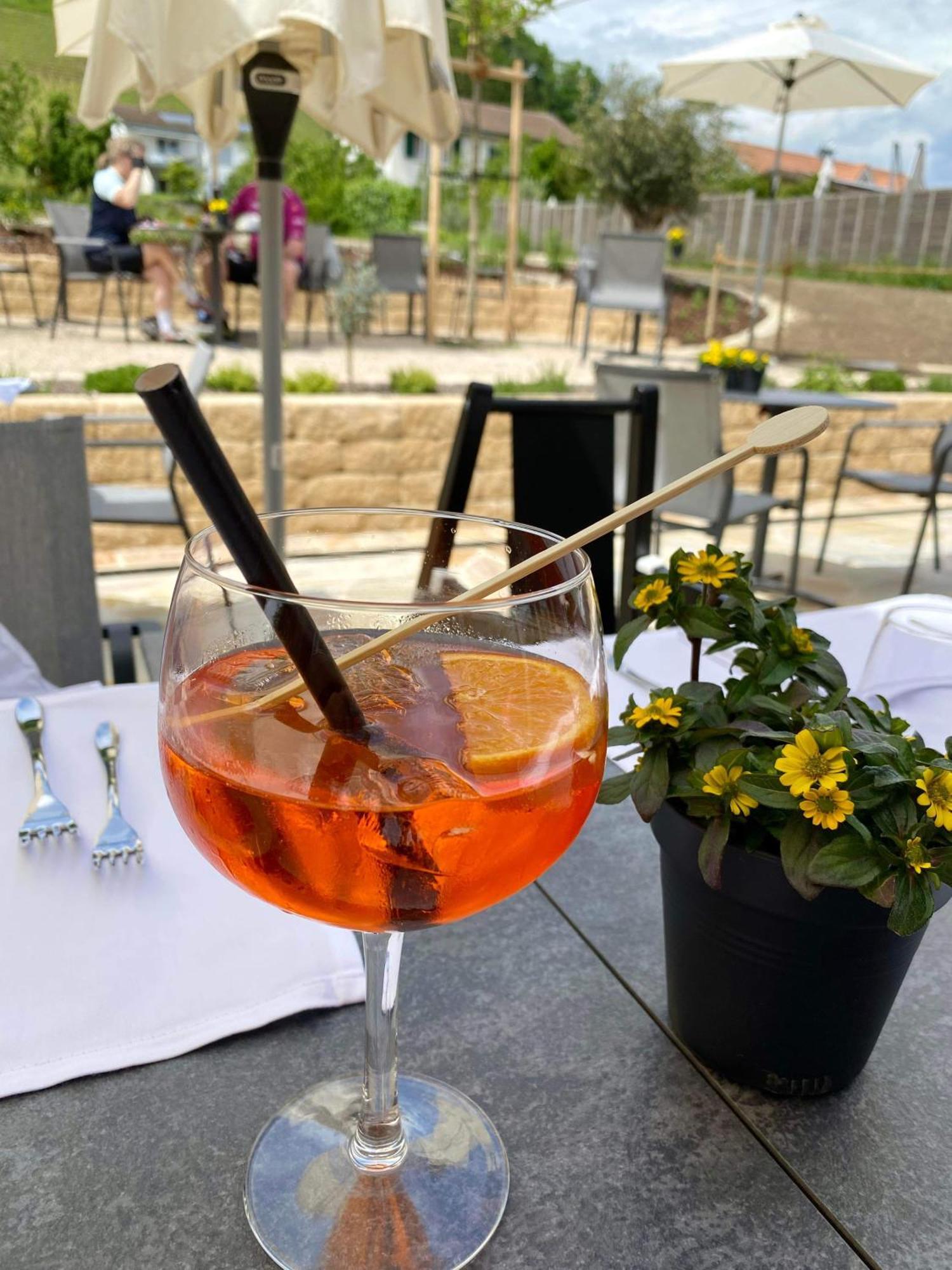Hotel Restaurant Croix Blanche 苏西 外观 照片