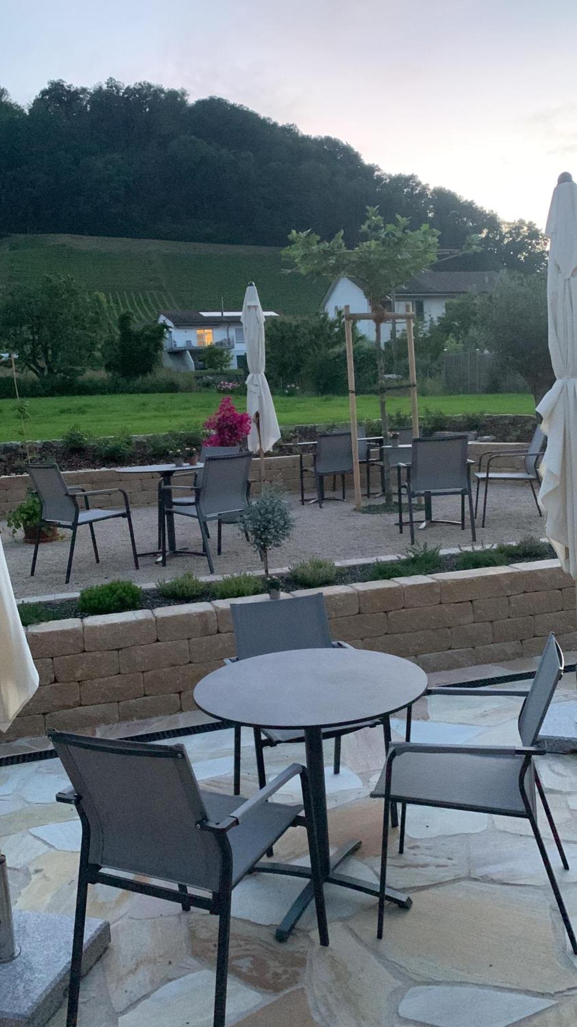 Hotel Restaurant Croix Blanche 苏西 外观 照片
